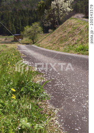 220422瓜巣桃の花z040 100543579