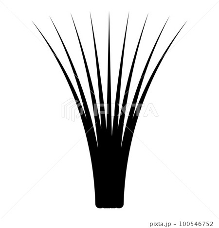 Edible grass lemongrass Cymbopogon citratus spices vegetable herbal plant icon black color vector illustration image flat style 100546752