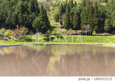 220430瓜巣z049 220430瓜巣z049 100547115