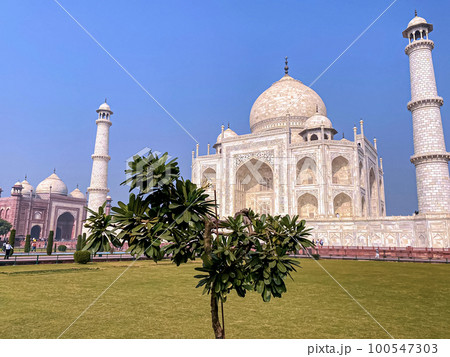 Agra, Uttar Pradesh, India - 12.15.2022 Agra, Uttar Pradesh, India - 12.15.2022 100547303