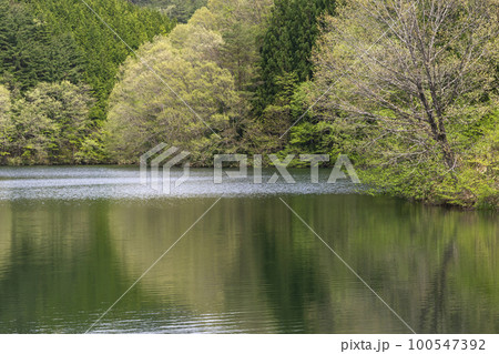 220506ダム湖g043 100547392