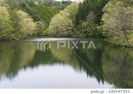 220506ダム湖g029 100547393