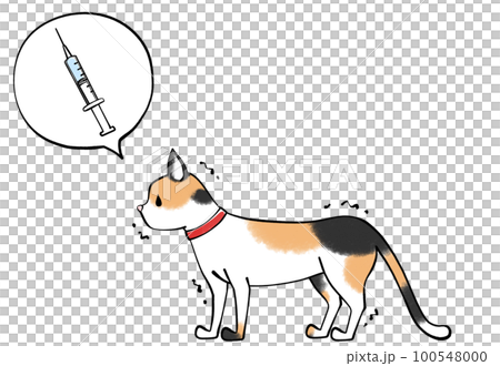 貓和疫苗的插圖 貓和疫苗的插圖 100548000
