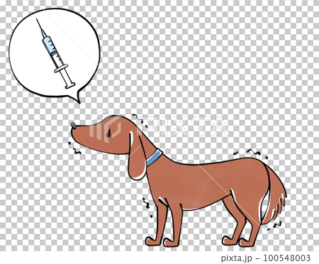 狗和疫苗插畫 100548003