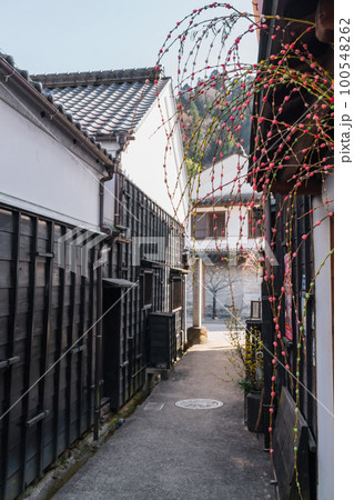 春の足助町、中馬のおひなさん〈愛知県豊田市〉 100548262