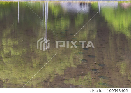 220510瓜巣g035 100548406