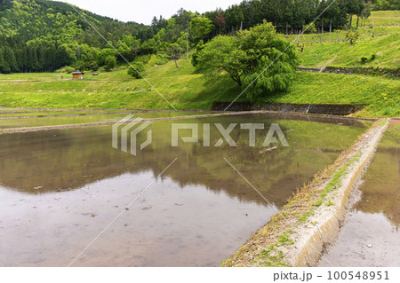 220512瓜巣z028 220512瓜巣z028 100548951