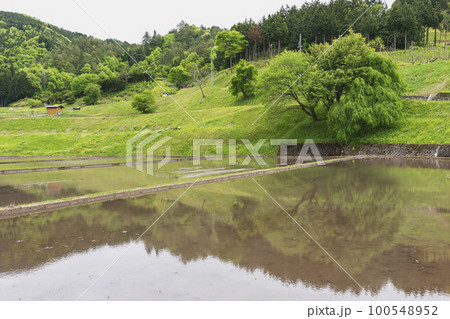 220512瓜巣z017 100548952