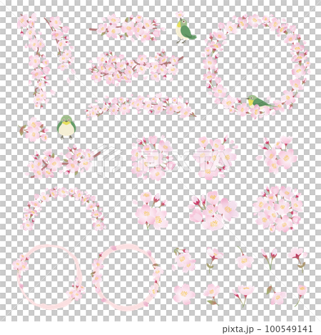 Cherry blossom illustration set, one point, decoration, design parts 100549141