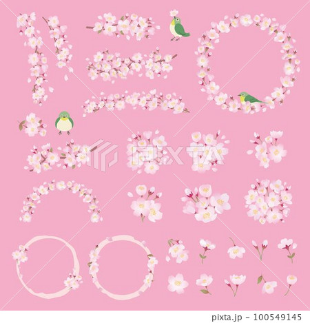 桜の花のイラストセット、ワンポイント、装飾、デザインパーツ 100549145