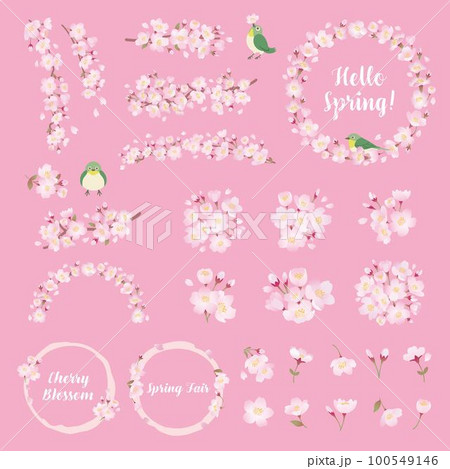 桜の花のイラストセット、ワンポイント、装飾、デザインパーツ 100549146