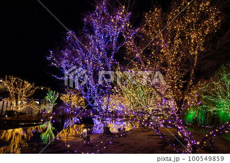 松島離宮のライトアップ（宮城県）　 100549859