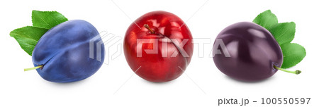fresh plum with leaves isolated on white background 100550597