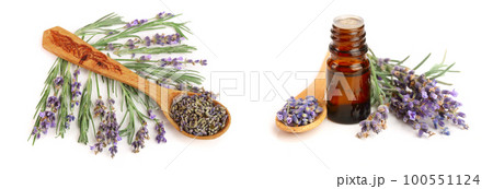 sprigs of fresh lavender and dried in spoon isolated on white background sprigs of fresh lavender and dried in spoon isolated on white background 100551124