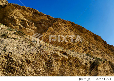 Relief rock texture 100551994
