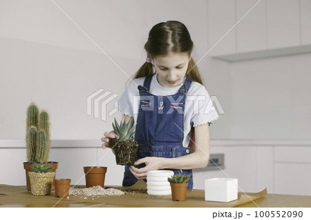 Ten year old girl growing plants at home. Ten year old girl growing plants at home. 100552090