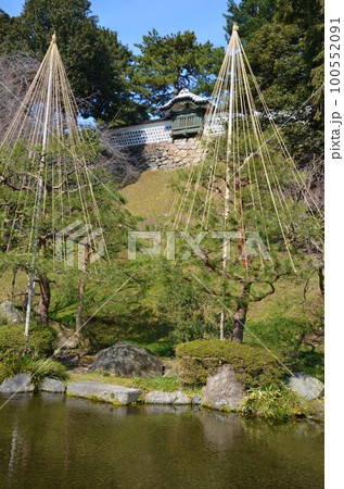金沢城 附属右方太鼓塀と雪吊り 金沢城 附属右方太鼓塀と雪吊り 100552091