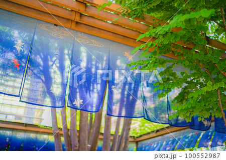 涼しげな模様ののれん 涼しげな模様ののれん 100552987