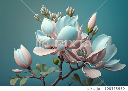 Realistic delicate pink blue magnolia. Beautiful spring flower. Generative AI Realistic delicate pink blue magnolia. Beautiful spring flower. Generative AI 100553980