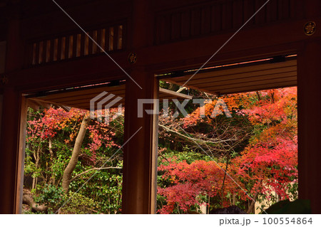 須磨寺の紅葉 100554864