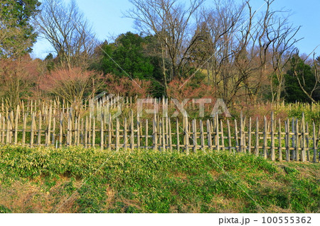 【岐阜県】関ケ原古戦場　石田三成陣地跡 100555362