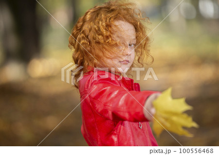 Autumn portrait of a little red-haired girl with maple leaves outdoors 100556468