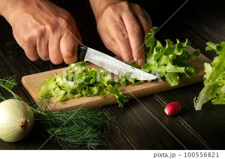 The chef cuts fresh Lettuce leaves on a cutting board for a vitamin salad. Diet menu for breakfast 100556821