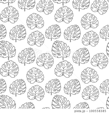 Seamless pattern black lines manstera leaves on white background Seamless pattern black lines manstera leaves on white background 100558385
