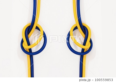 Two Knot of blue-yellow color 100559853