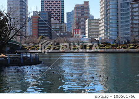 東京都市風景　隅田川と街並み　相生橋中の島 100561766