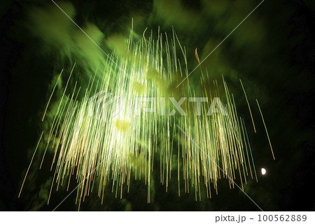 隅田川花火大会の打ち上げ花火 100562889