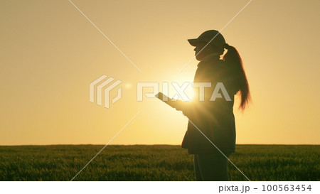 Agriculture. farming concept. farmer agronomist field wheat works in the tablet at sunset. farmer silhouette. market partnership camera researcher american greenhouse land back smile smartphone 100563454