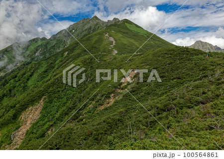 北アルプス・西穂山荘付近から見る西穂高岳稜線 北アルプス・西穂山荘付近から見る西穂高岳稜線 100564861