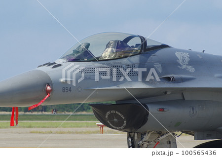 航空自衛隊の航空祭で展示されたアメリカ空軍 三沢基地所属のF-16 航空自衛隊の航空祭で展示されたアメリカ空軍 三沢基地所属のF-16 100565436