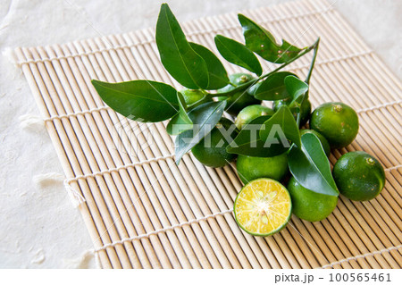 シークヮーサー シークヮーサー 100565461