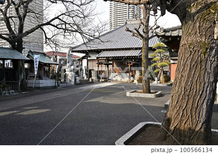 川口散歩:正覚寺 曹洞宗 川口市 川口散歩:正覚寺 曹洞宗 川口市 100566134
