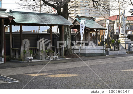 川口散歩:正覚寺 曹洞宗 境内 川口市 川口散歩:正覚寺 曹洞宗 境内 川口市 100566147