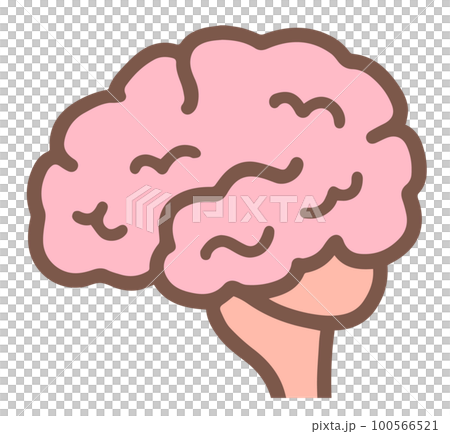 Lateral view of the brain Lateral view of the brain 100566521