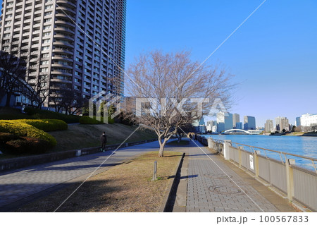 東京都市風景 隅田川と街並み 石川島公園 東京都市風景 隅田川と街並み 石川島公園 100567833