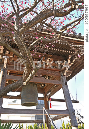 川口散歩：錫杖寺　真言宗智山派　鐘楼堂　銅鐘　川口市 100567997