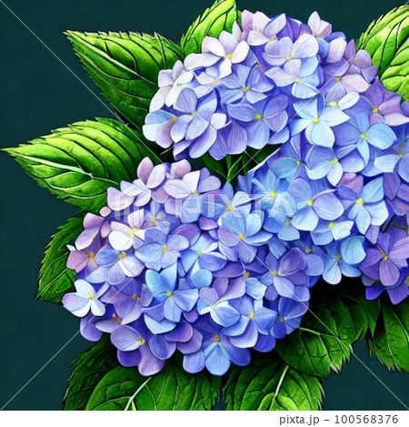 「あじさい」 绘画 アジサイの描き方 1 (解説) - YouTube