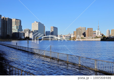 東京都市風景　隅田川と街並み　石川島公園より 100568486