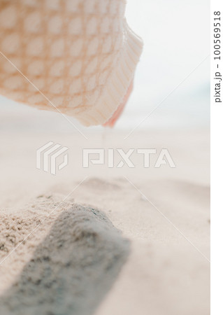 海辺に佇む女性の写真 海辺に佇む女性の写真 100569518