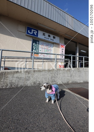 五條市 五條市 100570096