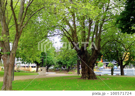 ニュージーランド_クライストチャーチ25 100571724