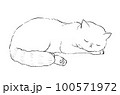 The cat is sleeping, tucking his hand under his neck. 100571972