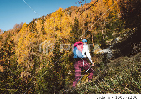 Back view of female mountaineer hiking up the mountain, trough the autumn forest on a sunny autumn day Back view of female mountaineer hiking up the mountain, trough the autumn forest on a sunny autumn day 100572286