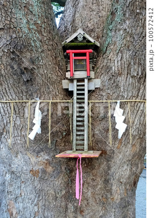 加藤神社 境内 加藤神社 境内 100572412