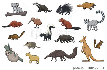 Animal cartoon icons of hunting sport, zoo and wildlife. Vector kangaroo, koala and platypus, kiwi bird, porcupine, badger, beaver and lemur, chipmunk, capybara and sloth, armadillo, skunk, anteater 100572551