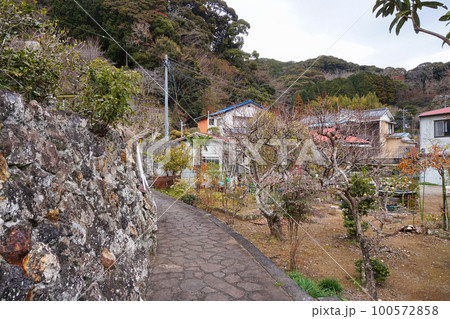 蓮台寺温泉の湯の華小路【静岡県下田市】 100572858